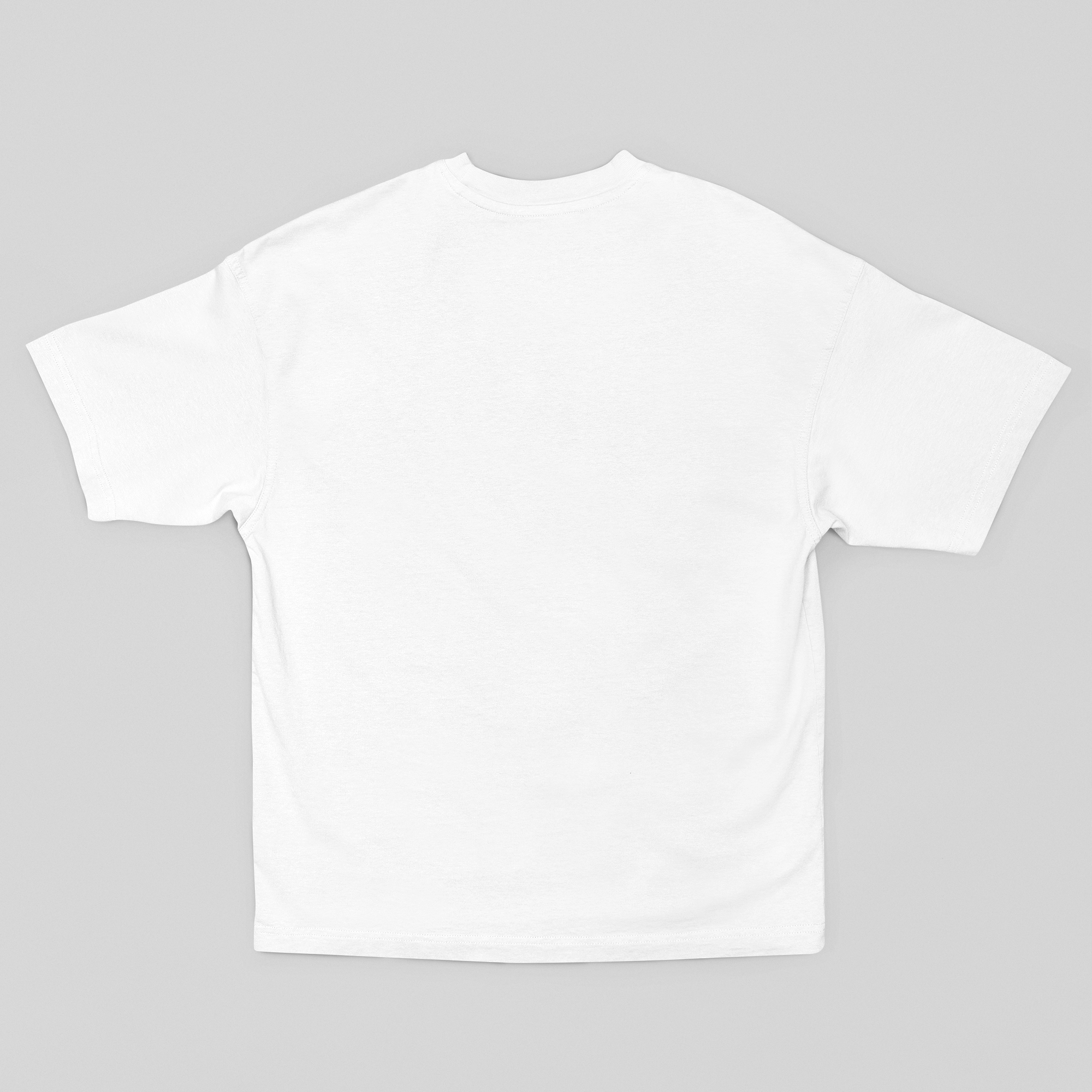Camiseta Oversized Max Verstappen - GTSO59