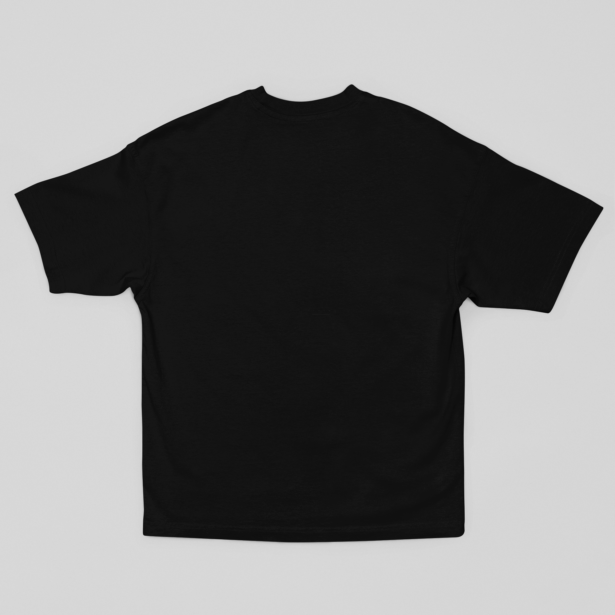 Camiseta Oversized Max Verstappen - GTSO59